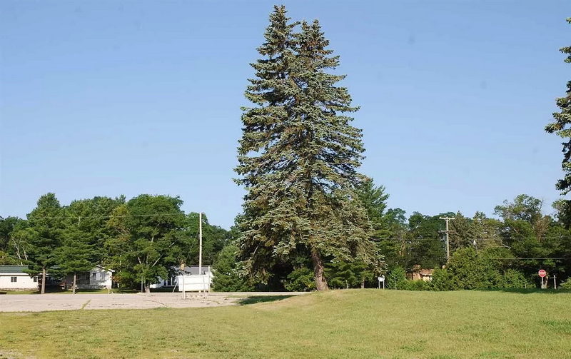 Greenbush Tavern - Street View And Real Estate Photo